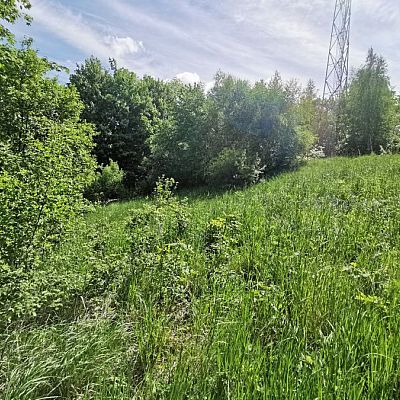 działka sprzedaż w kaczorów 