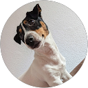 Arkadiusz B. profile picture